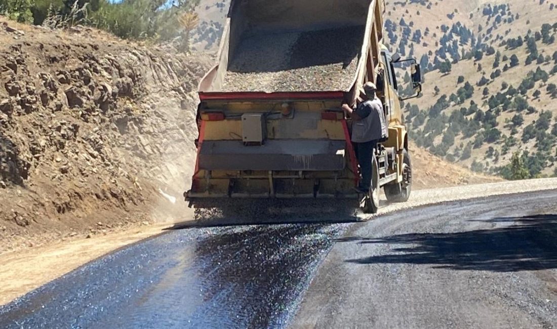 Büyükşehir Belediyesi, şehir merkezi