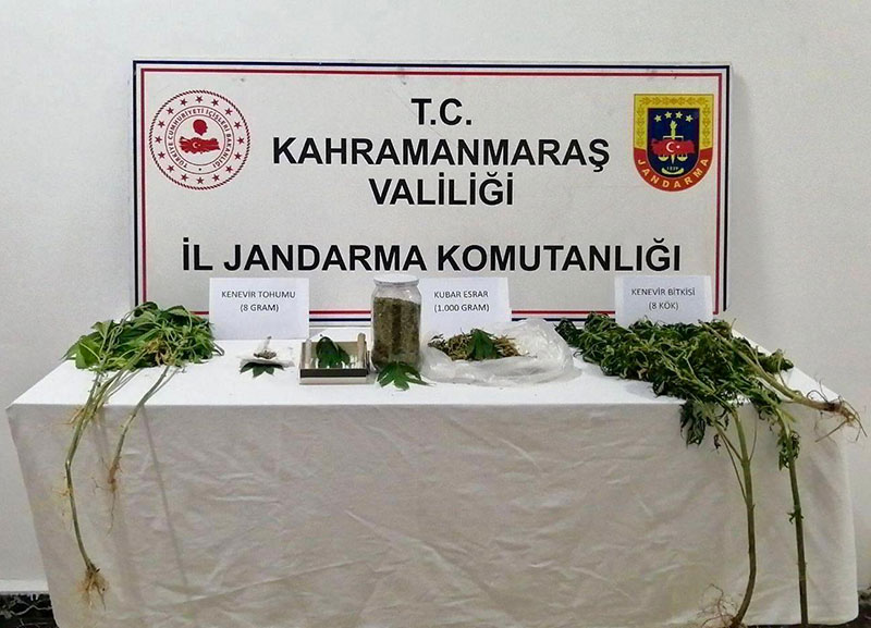 Kahramanmaraş’ta evinin bahçesinde kenevir