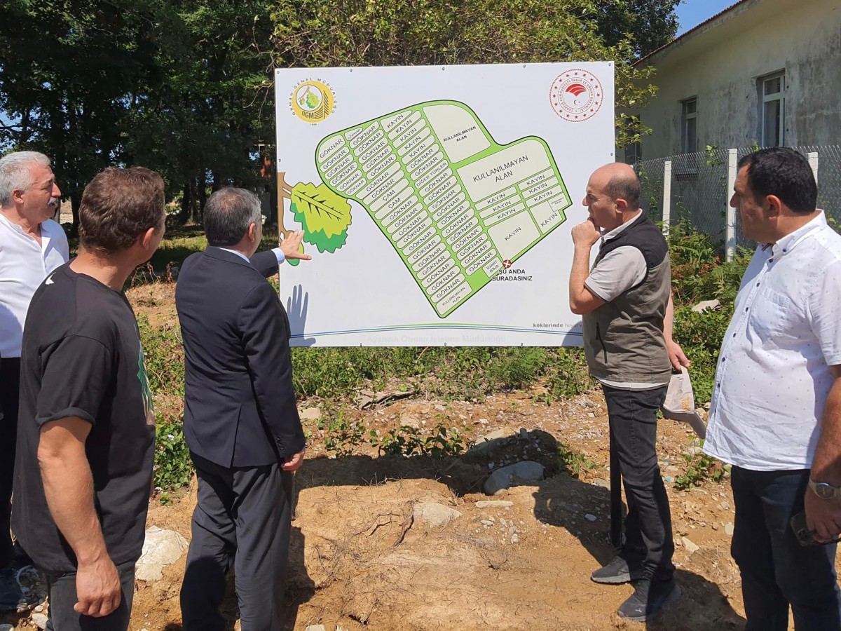 02082024181552 86025 79942