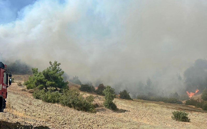 Kahramanmaraş'ta orman yangını
Kahramanmaraş’ta çıkan