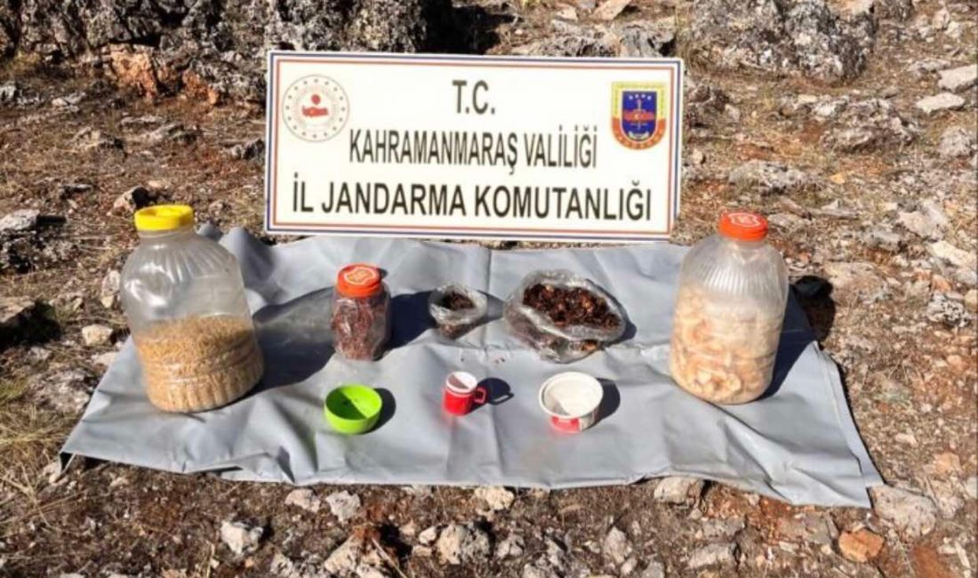 Kahramanmaraş’ta jandarma ekipleri tarafından