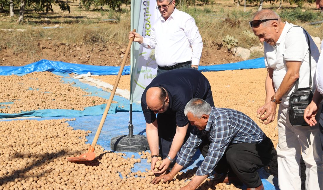 Başkan Akpınar, Bertiz Başdervişli