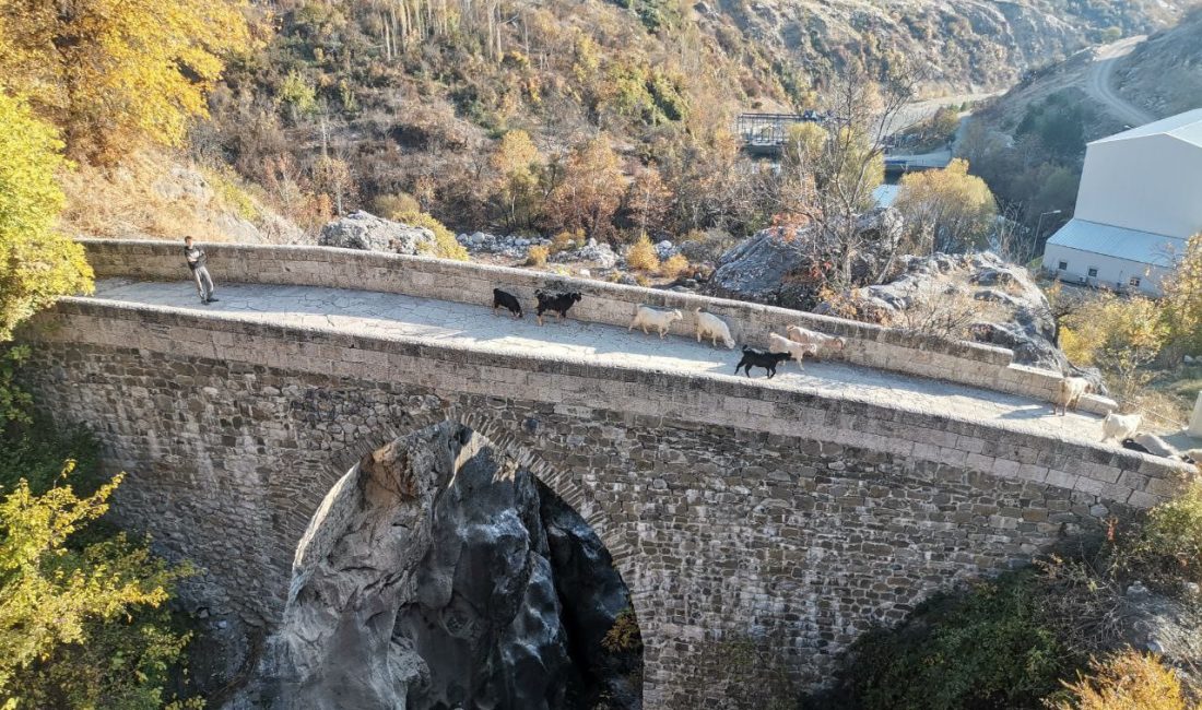 Zamana direnerek günümüze ulaşan