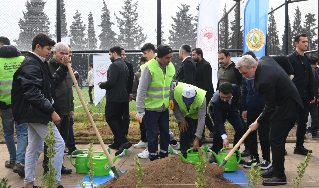 11 Kasım Milli Ağaçlandırma