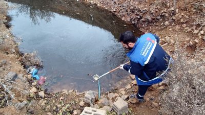 Büyükşehir Zararlılarla Mücadelede Etkinliğini Daha da Artırıyor