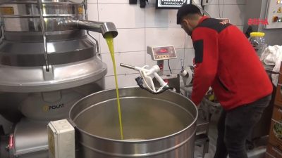 Zeytinlerin, hijyenik bir ortamda işlenerek zeytinyağına dönüştürüldüğü fabrikalarda, üreticiler müşteri