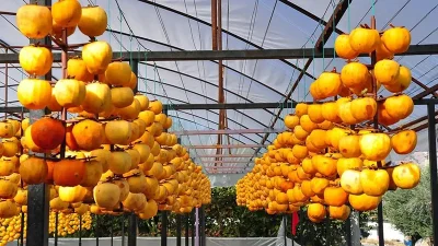 Kahramanmaraş Büyükşehir Belediyesi, paydaş kurum ve kuruluşlarla ortaklaşa gerçekleştirdiği projelerle