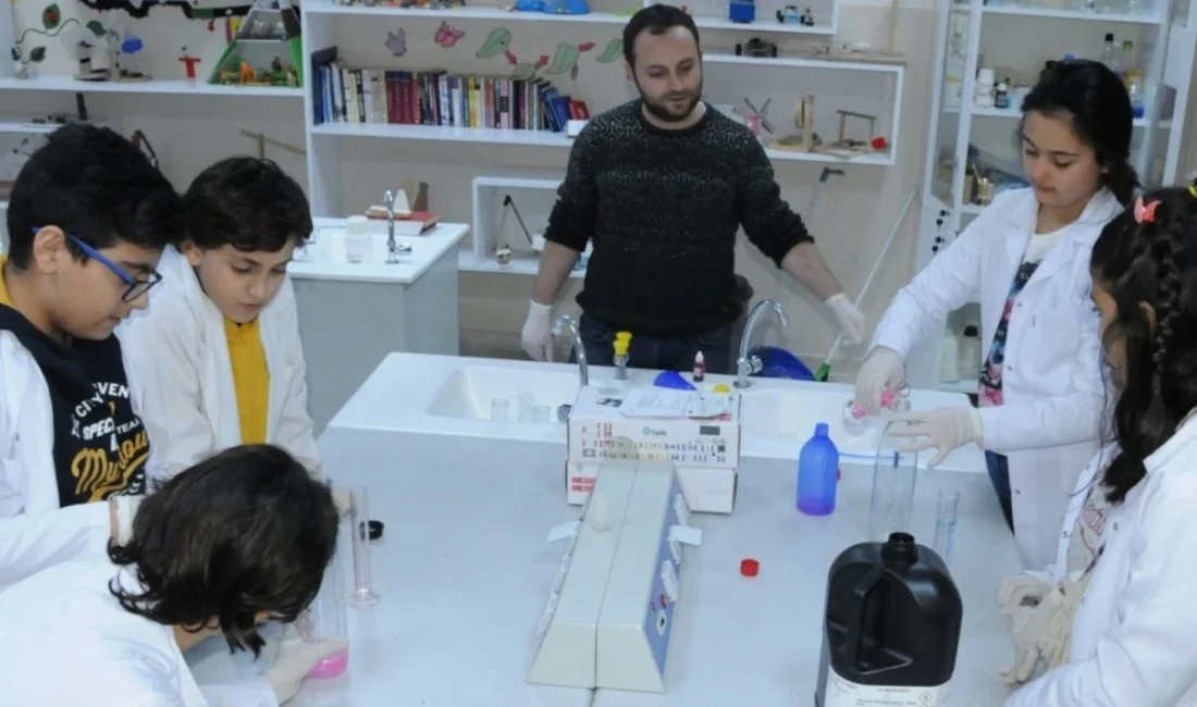 Genel zihinsel, resim ve müzik yetenek alanlarına ilişkin bireysel değerlendirme