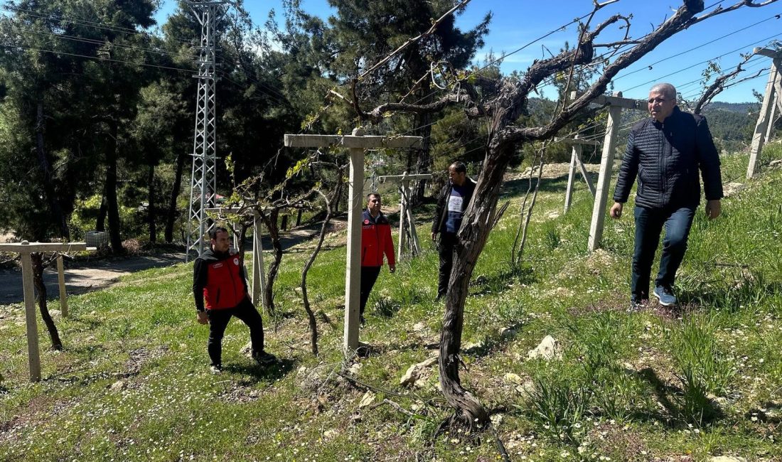 Cumhurbaşkanı Erdoğan, don olayının TARSİM’in önemini bir kez daha gösterdiğini