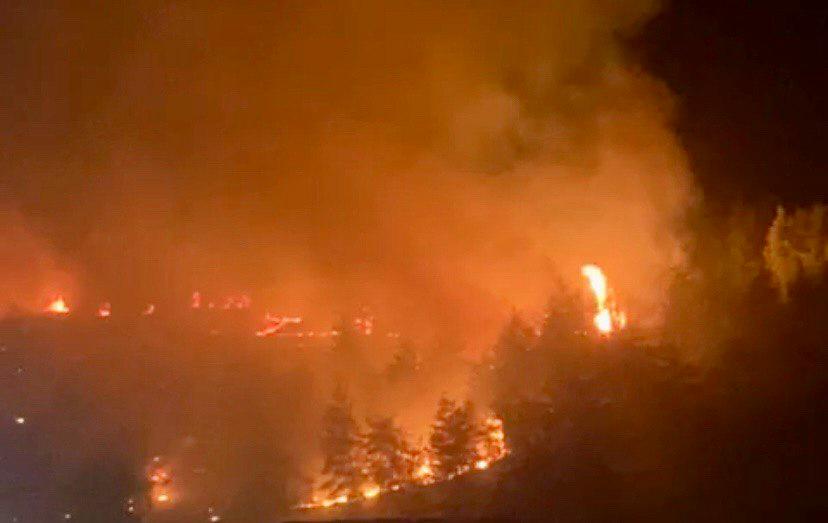 İhbarlar sonrası hemen hareket geçen ekipler, sıcaklığın 44°C ve rüzgarın