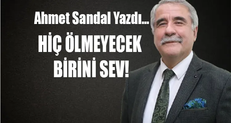 hic olmeyecek birini sev