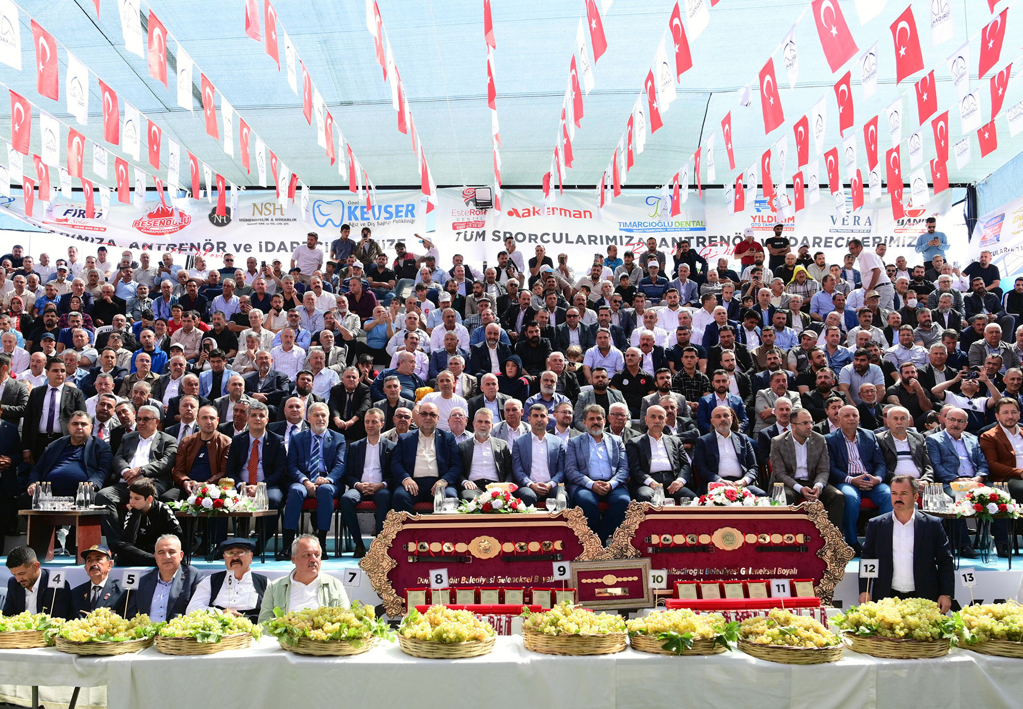 Bertiz Boyali Gures Festivali ()