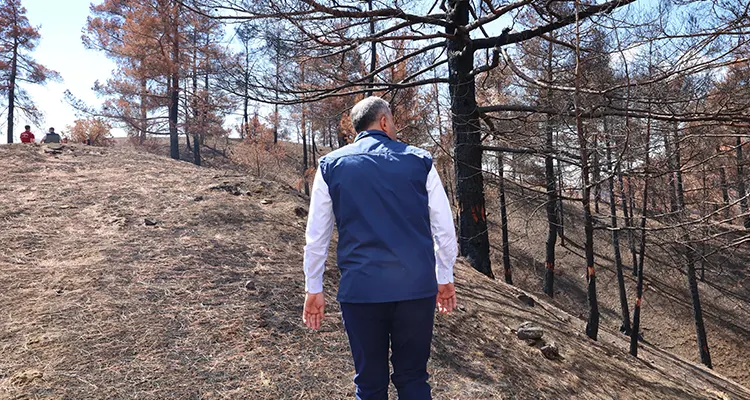 Çevre ve Şehircilik İl Müdürlüğü tarafından yapılan tespitlere göre Çakırdere