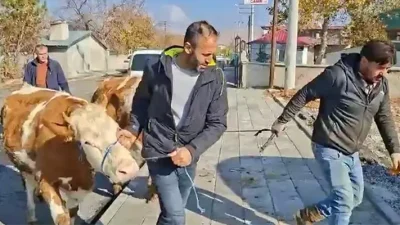 Kahramanmaraş Afşin’de yangında tüm hayvanlarını kaybeden üreticiye, Şekerli Vakfı’nın hayırseverlerin