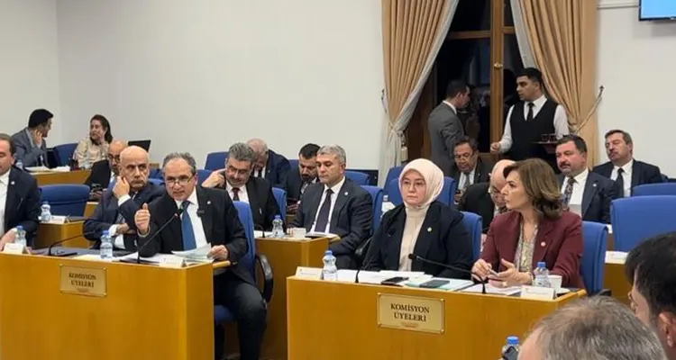 AK Parti Kahramanmaraş Milletvekili Dr. Tuba Köksal, Plan ve Bütçe