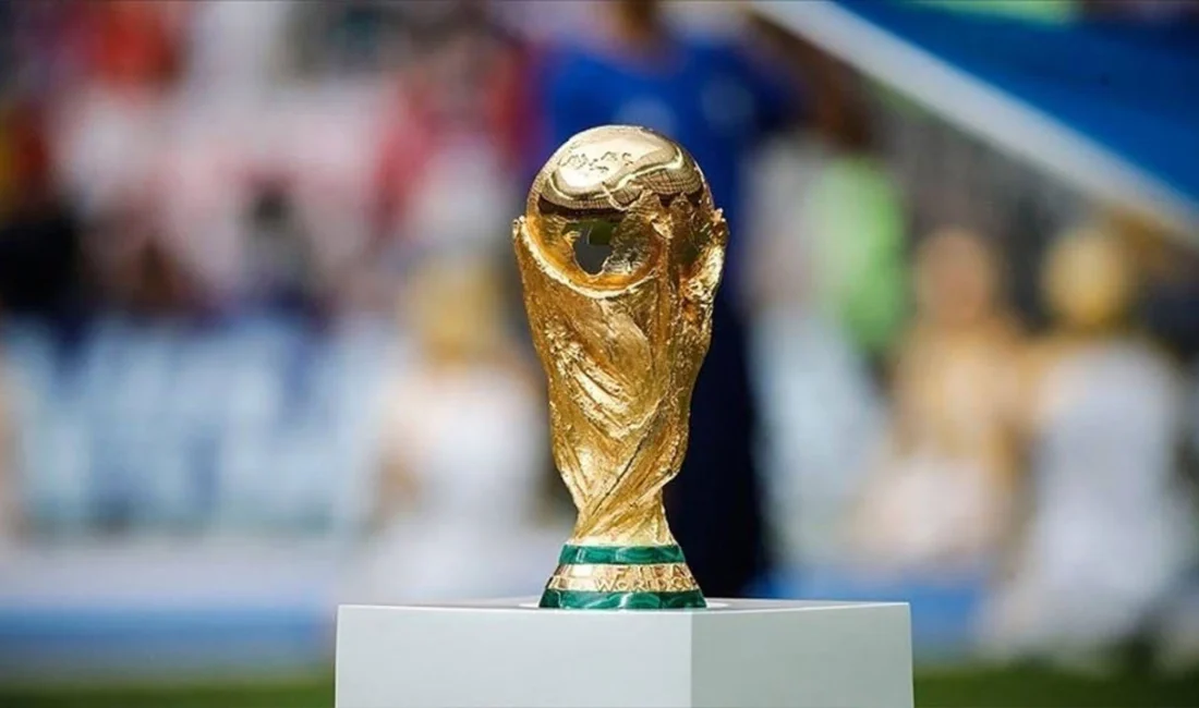 FIFA ayrıca reklam yayınları için bazı kurallar da belirledi. Buna
