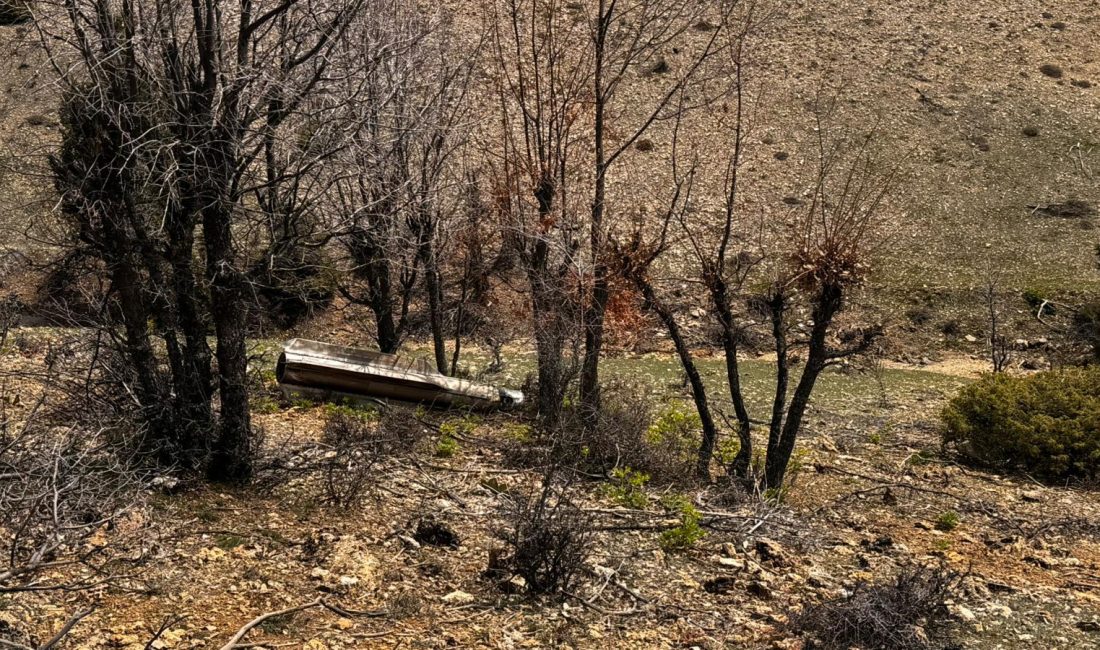 Yapılan ilk incelemelerde yaklaşık 2 metre uzunluğunda olduğu belirlenen cismin