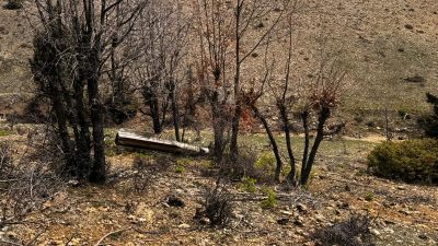 Yapılan ilk incelemelerde yaklaşık 2 metre uzunluğunda olduğu belirlenen cismin