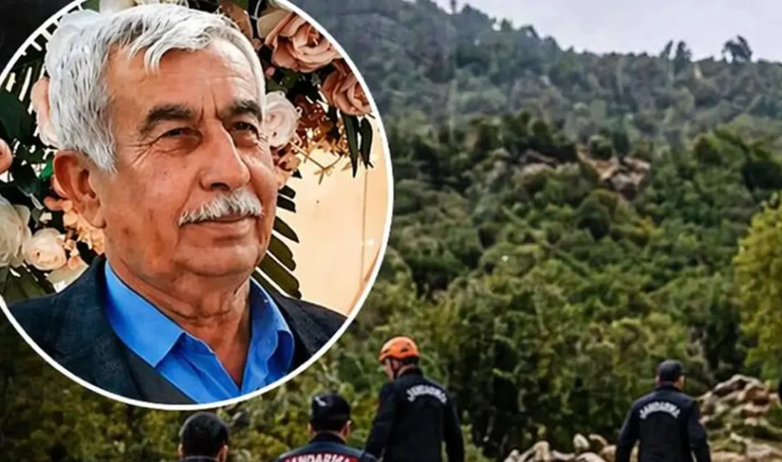 Edinilen bilgilere göre, Çığşar Mahallesi’nde kendisine ait ağaçların bakımını yapmak