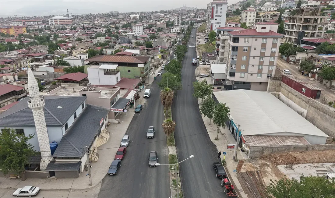 Büyükşehir Belediyesi ekiplerince yürütülen çalışmalar kapsamında bölgede toplam 3 bin