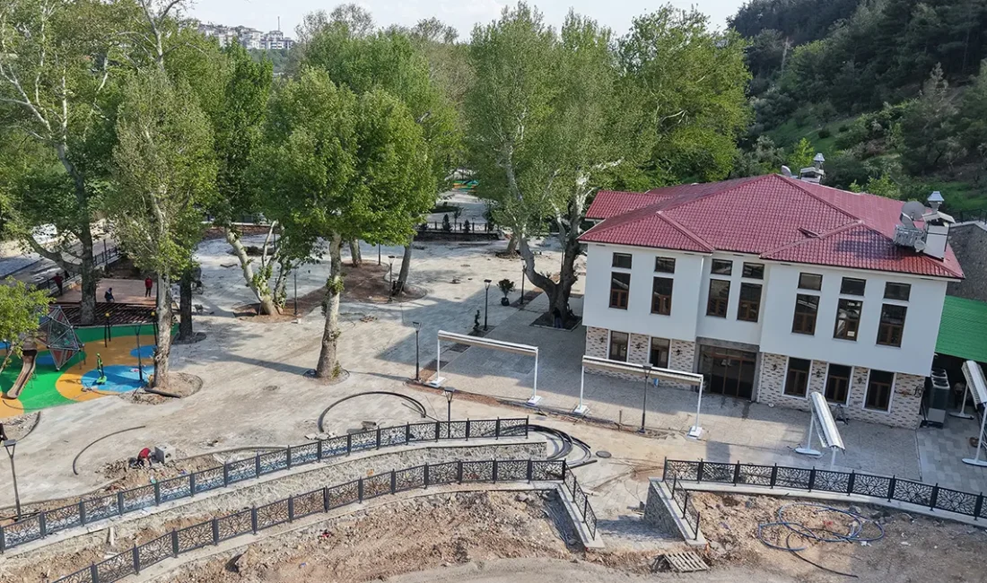 Yeşil alanların artırılması, çeşitli bitki türlerinin bölgeye kazandırılması ve doğal