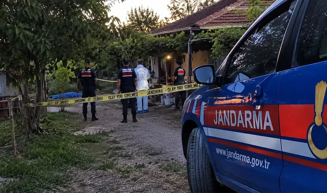 Olay yerine gelen sağlık ekipleri tarafından yapılan kontrolde Gurmo Ağaç’ın