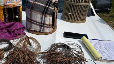 Denetimler sırasında kaçak olarak avlandığı belirlenen şahısların üzerinde ve avlak