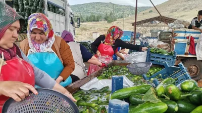 Kentteki üretim potansiyelinin büyük bir kısmını oluşturan belirli bölgelerde 100