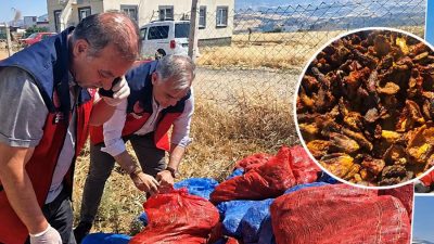 Hijyen kurallarına aykırı koşullarda muhafaza edildiği belirlenen ürünler, halk sağlığının