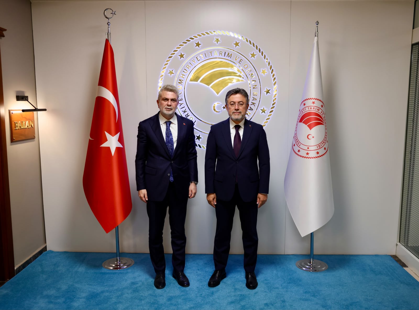Ziyaret