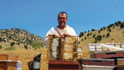 Kahramanmaraş'ta yeni sezon bal satışları başladı. Bal üreticisi Münür Tuğrul,
