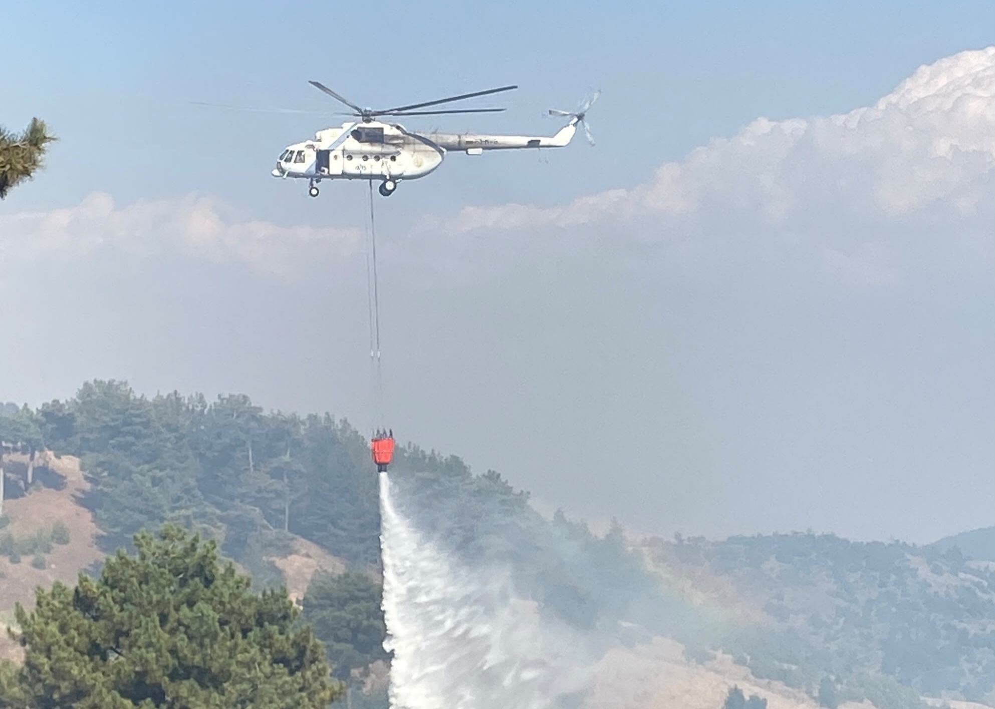 Kahramanmaraş’ta Orman Yangını: Ekipler Seferber Oldu 1 IMG