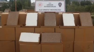 Göksun ilçesinde gerçekleştirilen operasyonda, 2 milyon 62 bin 500 dal