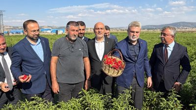 Kahramanmaraş’ın tarımsal üretiminde önemli bir yere sahip olan ve dünyaca