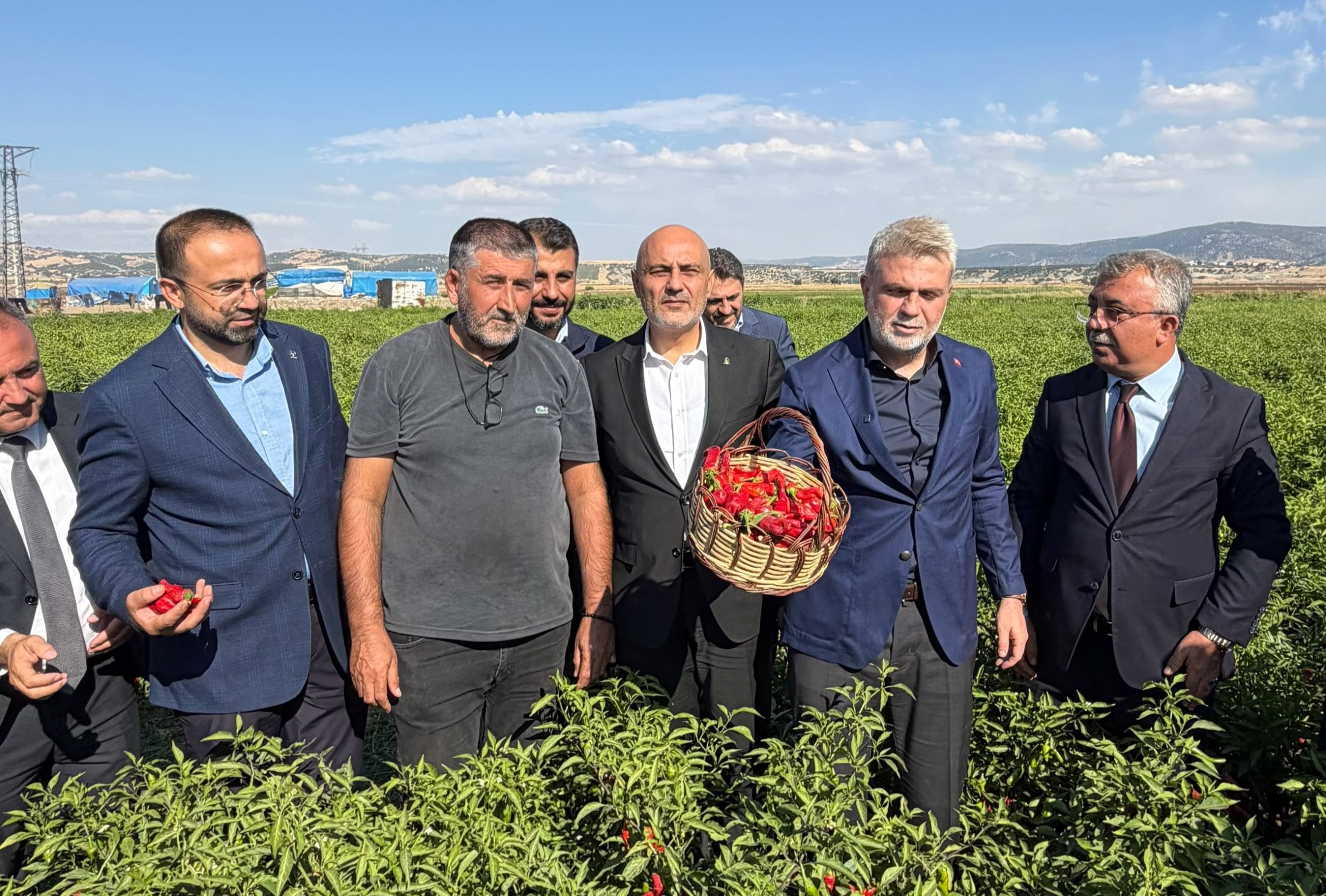 Hasat programında açıklamalarda bulunan Başkan Fırat Görgel, Maraş biberinin hem