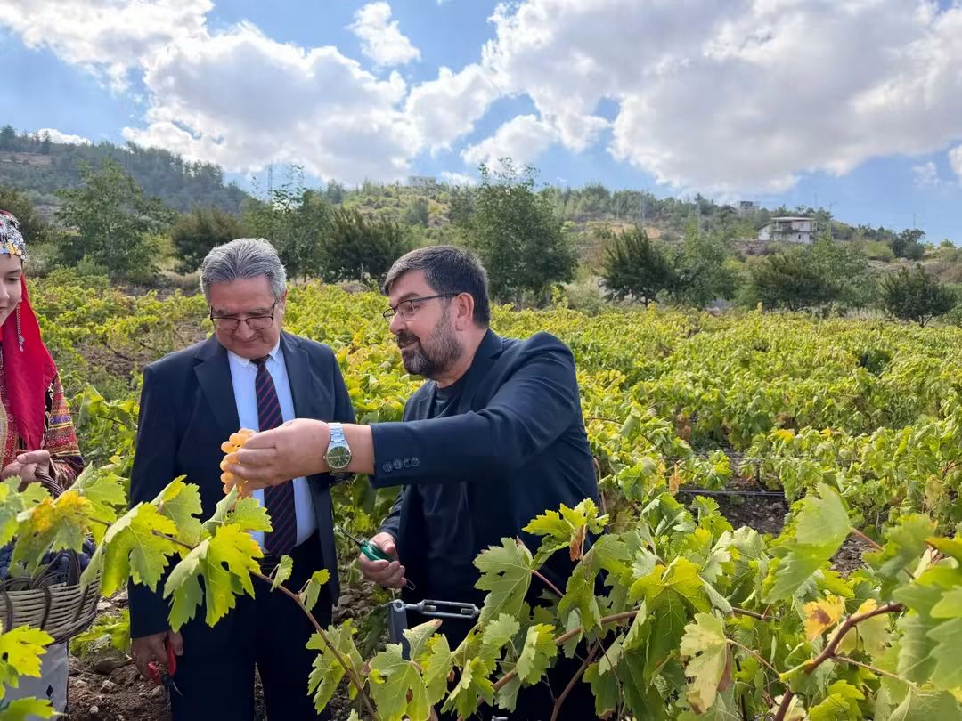 Budaklı’da Geleneksel Bağ Bozumu Etkinliği Düzenlendi Kahramanmaraş Büyükşehir Belediyesi tarafından Dulkadiroğlu ilçesinin Bertiz Bölgesi’ne bağlı Budaklı