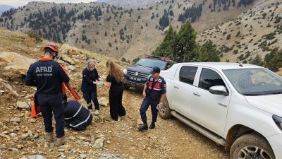 , Göksun ilçesine bağlı Kavşut Yaylası’nda meydana geldi. Saat 09.43’te