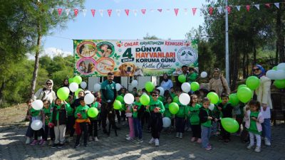 Sokak hayvanlarının yaşam koşullarının iyileştirilmesi, rehabilite edilmesi ve güvenli doğal