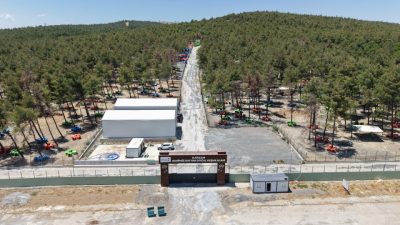 Sahipsiz Hayvanları Koruma Birliği iş birliğinde yürütülen çalışmalarla sokak hayvanlarının